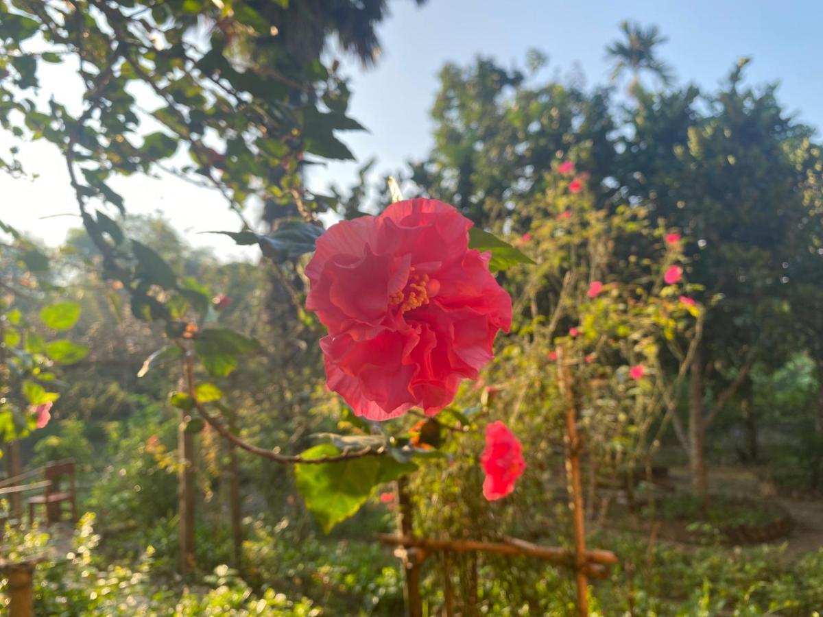 Muong Bi Homestay Hòa Bình Екстериор снимка