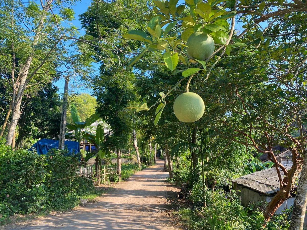 Muong Bi Homestay Hòa Bình Екстериор снимка