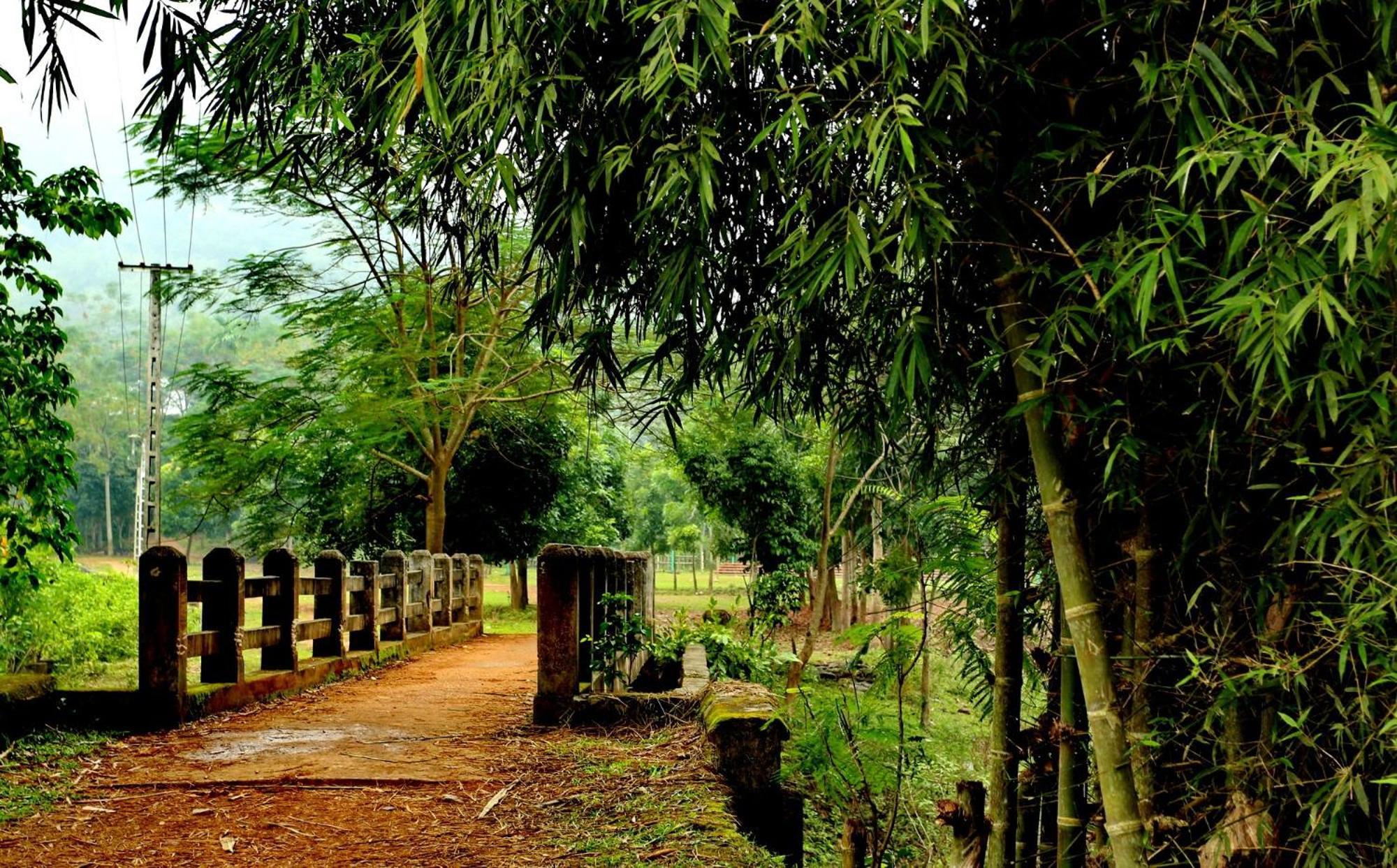 Muong Bi Homestay Hòa Bình Екстериор снимка