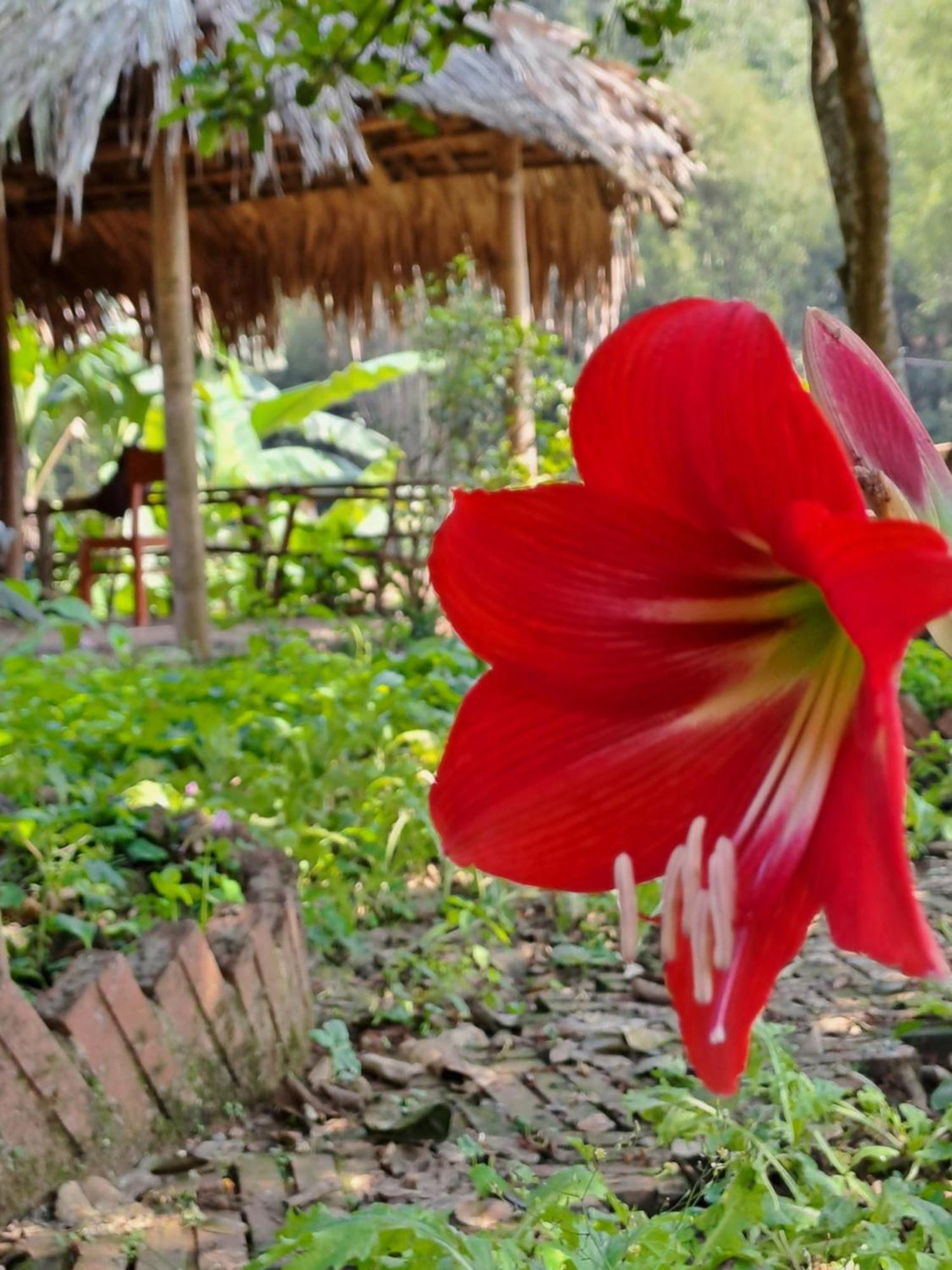 Muong Bi Homestay Hòa Bình Екстериор снимка