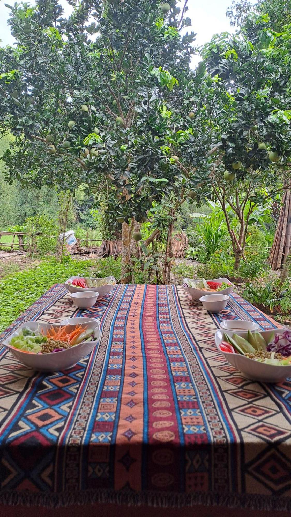 Muong Bi Homestay Hòa Bình Екстериор снимка