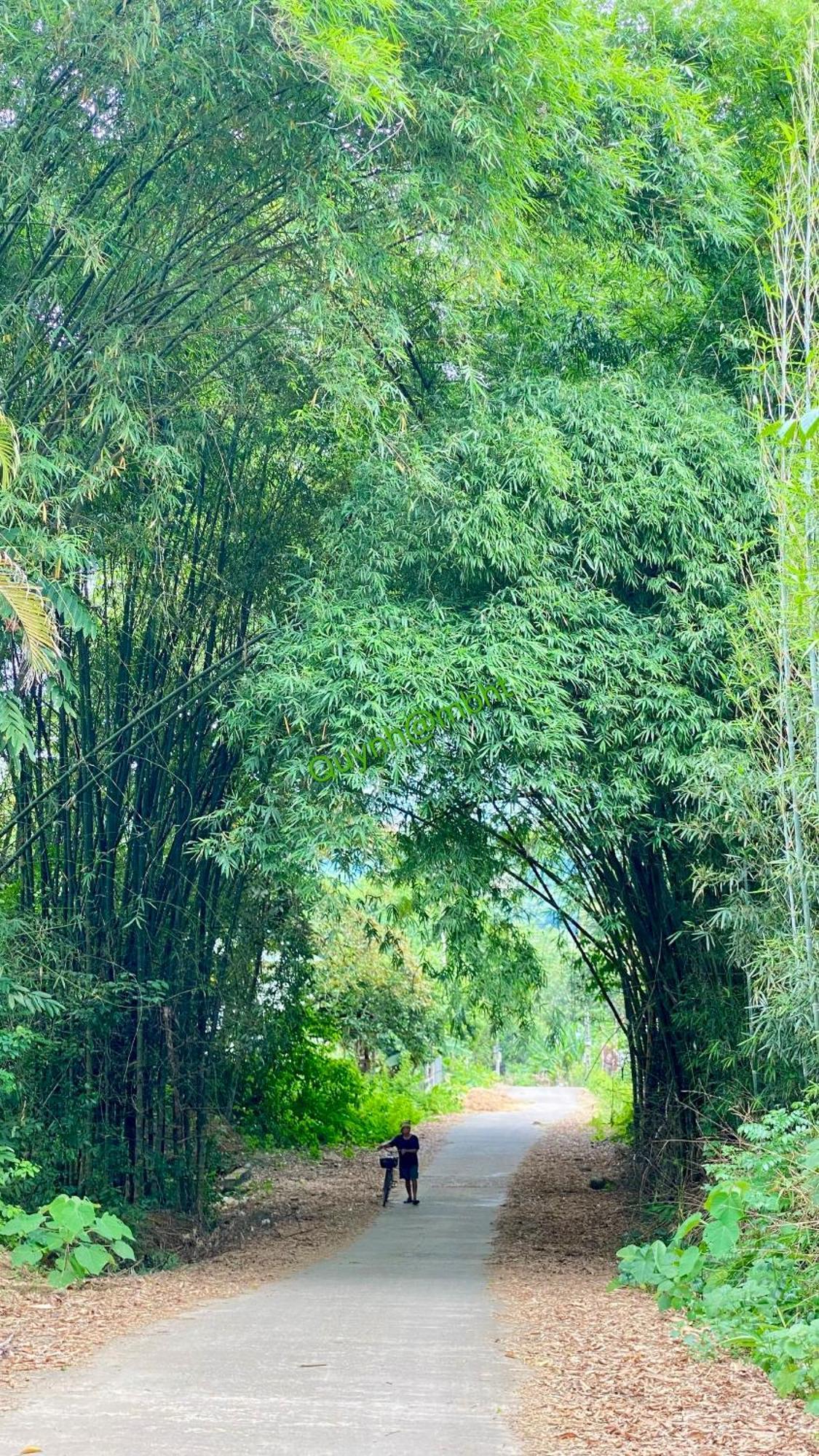 Muong Bi Homestay Hòa Bình Екстериор снимка