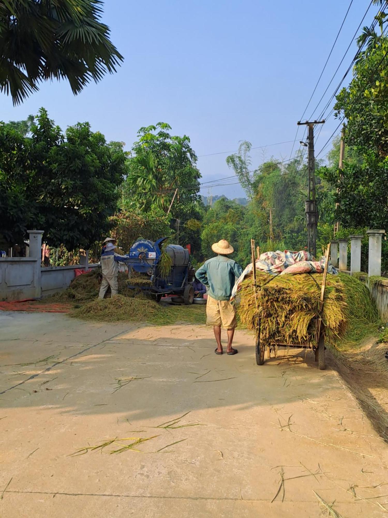 Muong Bi Homestay Hòa Bình Екстериор снимка