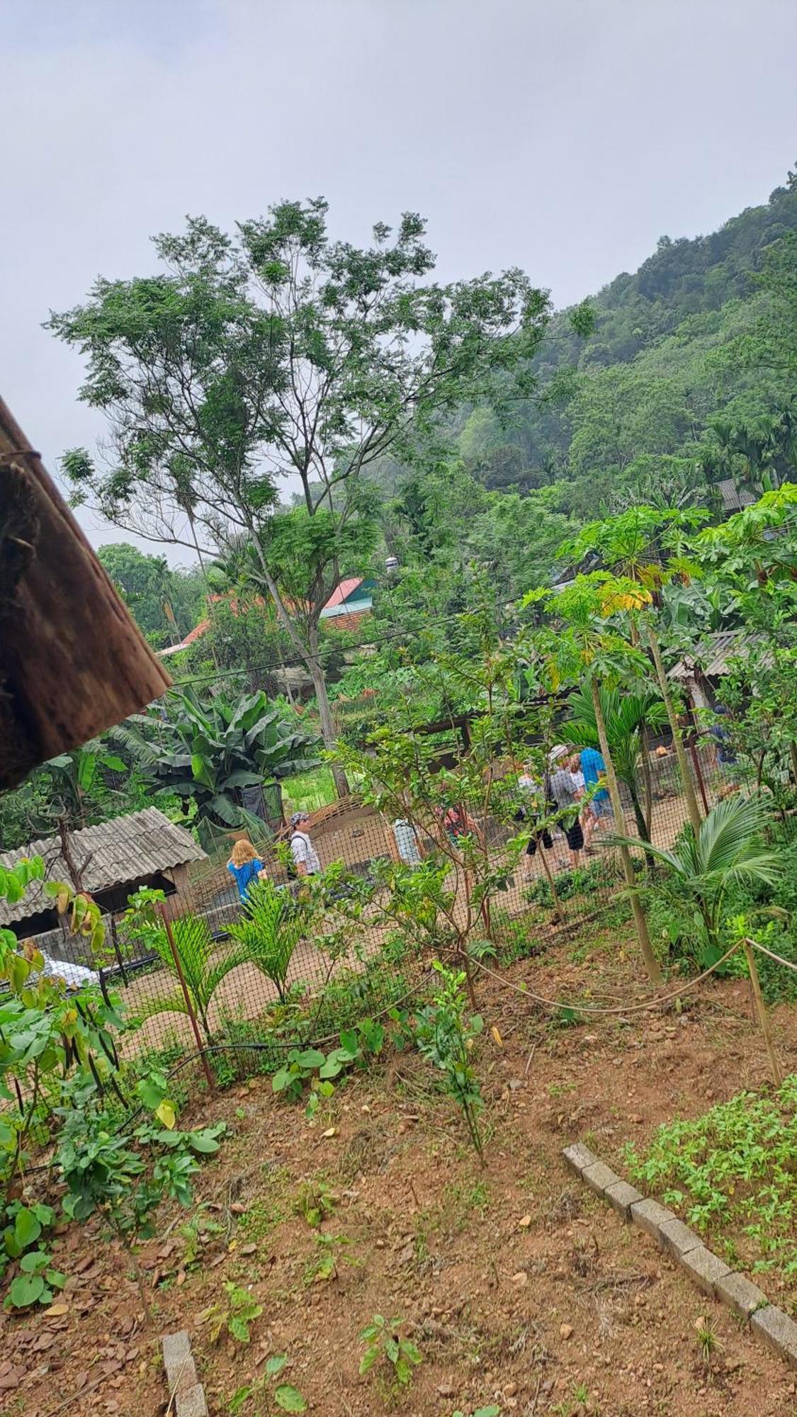 Muong Bi Homestay Hòa Bình Екстериор снимка
