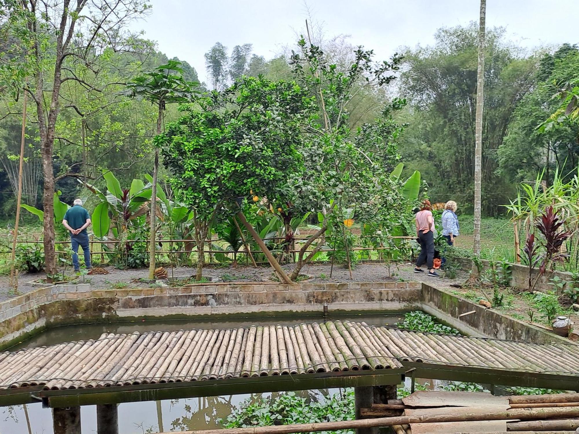Muong Bi Homestay Hòa Bình Екстериор снимка